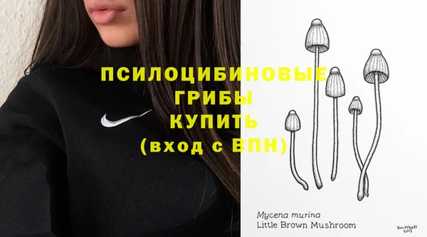 метадон Елизово