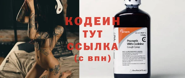 метадон Елизово