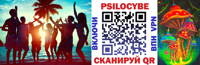 Галлюциногенные грибы MAGIC MUSHROOMS Купить где Кирсанов
